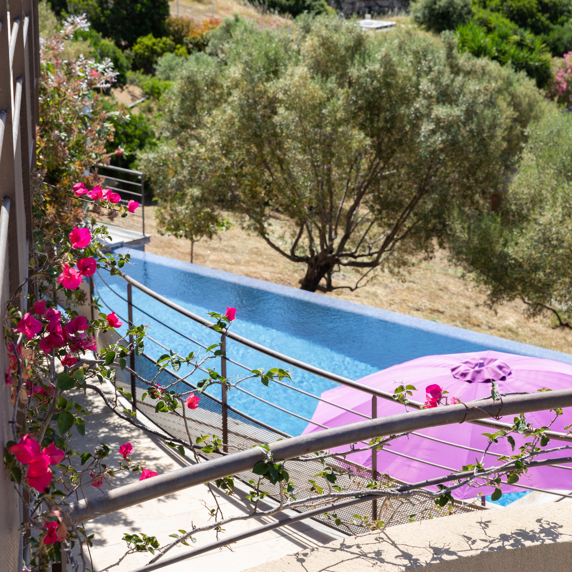 Une piscine très agréable à vivre.